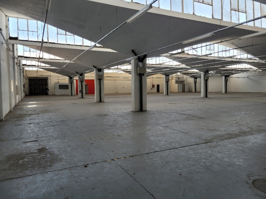 Commercial Property for Sale in Epping Industrial Western Cape